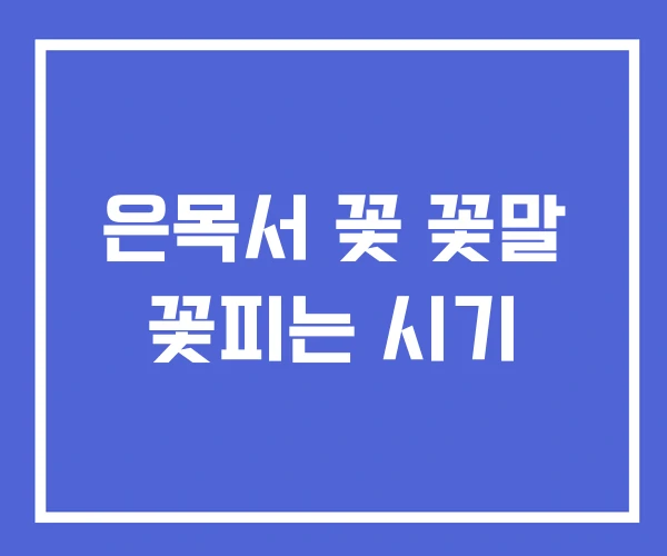 은목서 꽃 꽃말 꽃피는 시기 은목서 꽃 꽃말 꽃피는 시기