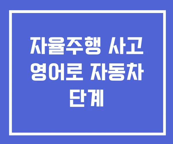 자율주행 사고 영어로 자동차 단계