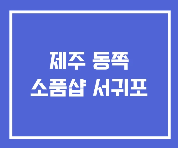 제주 동쪽 소품샵 서귀포 제주 동쪽 소품샵 서귀포