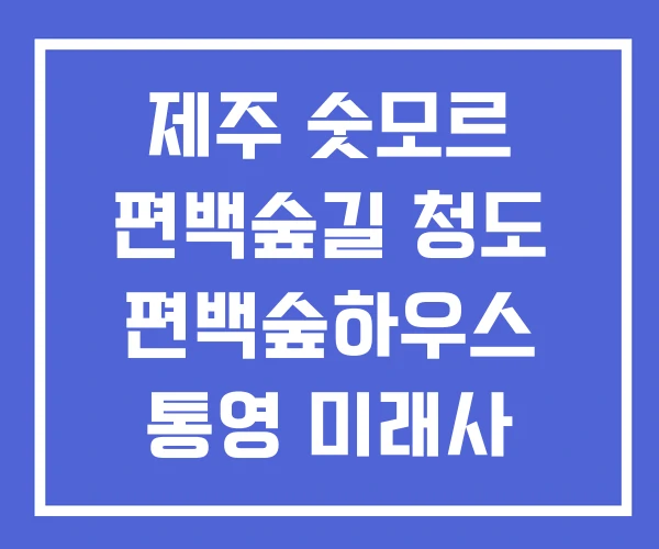 제주 숫모르 편백숲길 청도 편백숲하우스 통영 미래사 편백숲 제주 숫모르 편백숲길 청도 편백숲하우스 통영 미래사 편백숲