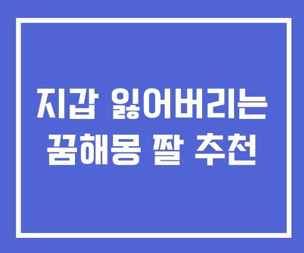 지갑 잃어버리는 꿈해몽 짤 추천