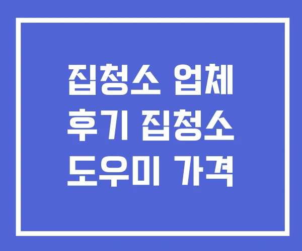 집청소 업체 후기 집청소 도우미 가격