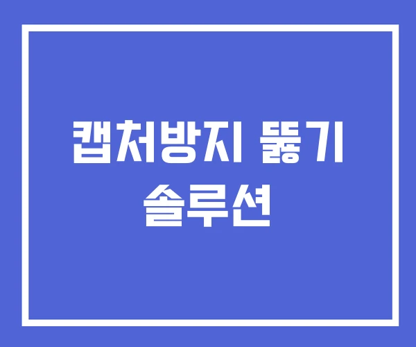캡처방지 뚫기 솔루션 캡처방지 뚫기 솔루션