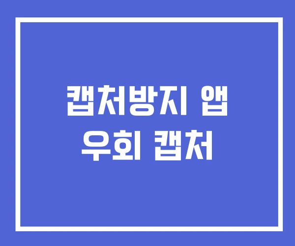 캡처방지 앱 우회 캡처 캡처방지 앱 우회 캡처