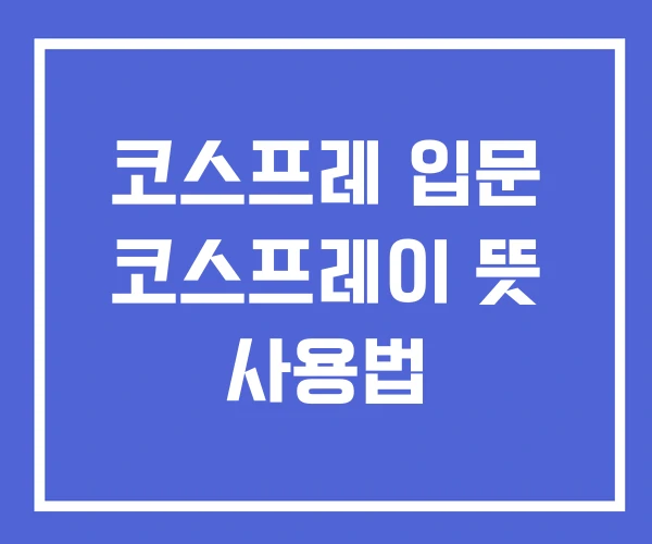 코스프레 입문 코스프레이 뜻 사용법 코스프레 입문 코스프레이 뜻 사용법