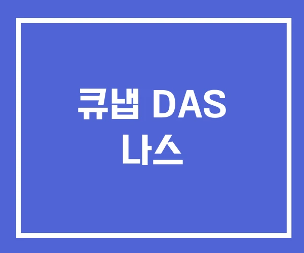 큐냅 DAS 나스 큐냅 DAS 나스