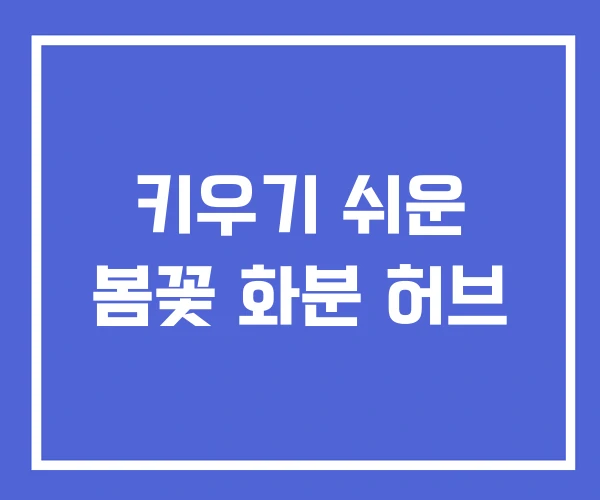 키우기 쉬운 봄꽃 화분 허브 키우기 쉬운 봄꽃 화분 허브