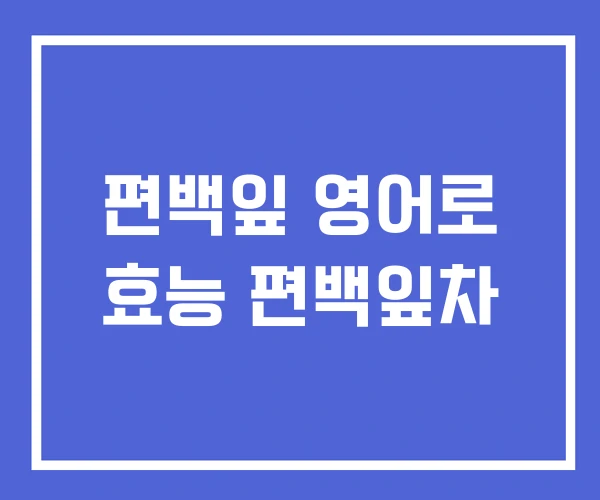 편백잎 영어로 효능 편백잎차 편백잎 영어로 효능 편백잎차