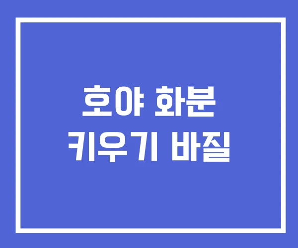 호야 화분 키우기 바질 호야 화분 키우기 바질