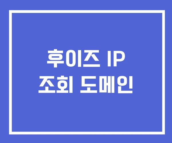 후이즈 IP 조회 도메인